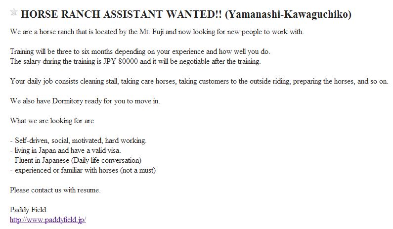 Horse Ranch Assistant