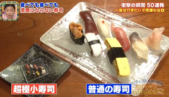The Japanese Mini Sushi Diet - Guaranteed Success