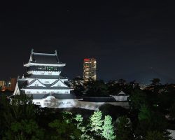 Light Up Your Own Japanese Castle